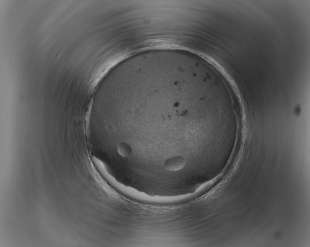 X0000116301289200912141326