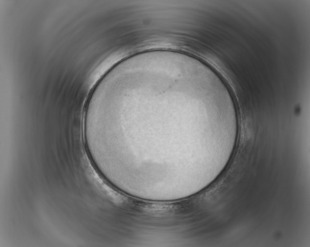 X0000116301290200912141326