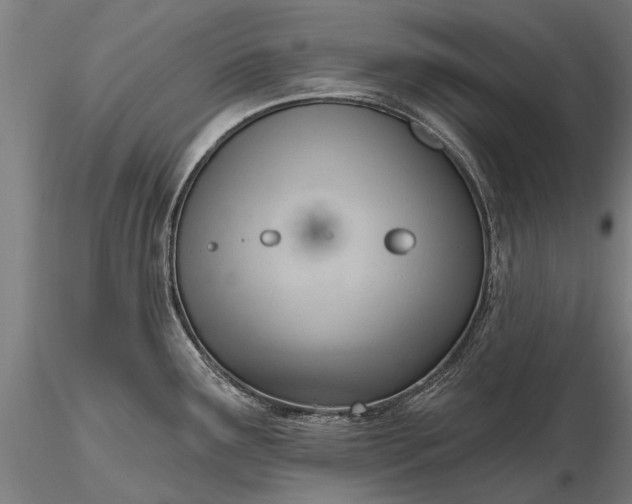 X0000116301291200912141326