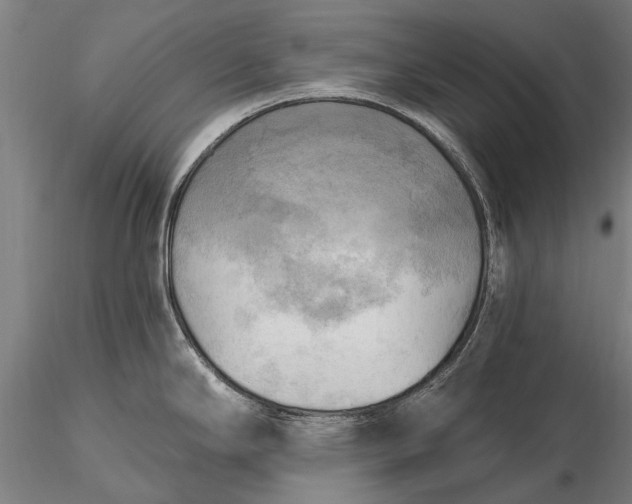 X0000116301294200912141326