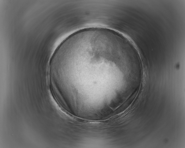 X0000116301295200912141326