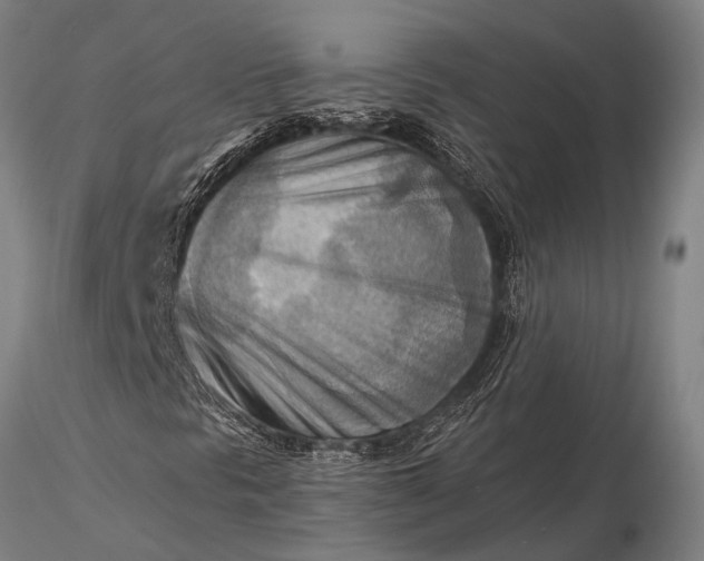 X0000116301297200912141326