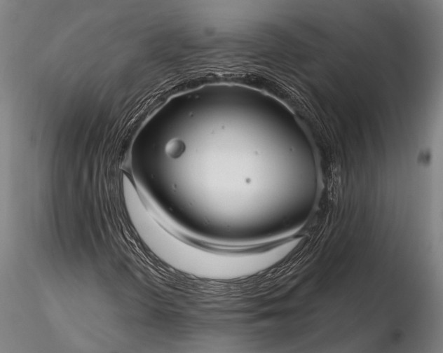 X0000116301298200912141326