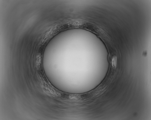 X0000116301299200912141326