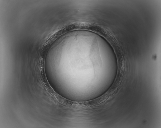 X0000116301301200912141326