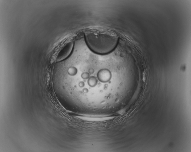 X0000116301302200912141326