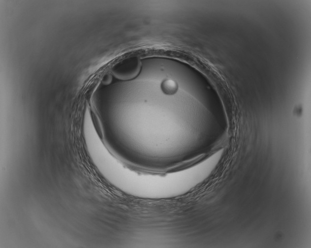 X0000116301303200912141326