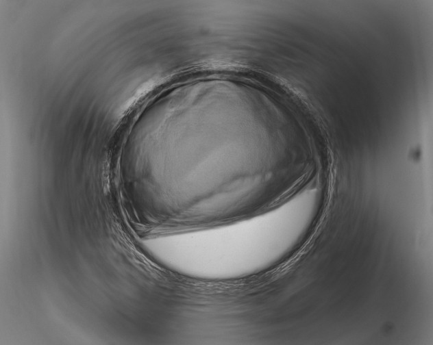 X0000116301306200912141326