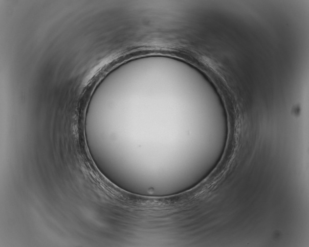 X0000116301307200912141326