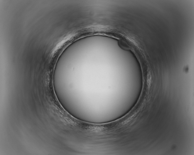 X0000116301309200912141326