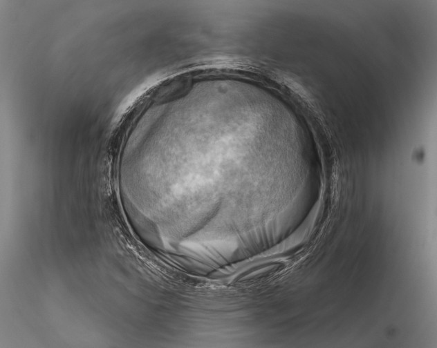 X0000116301310200912141326