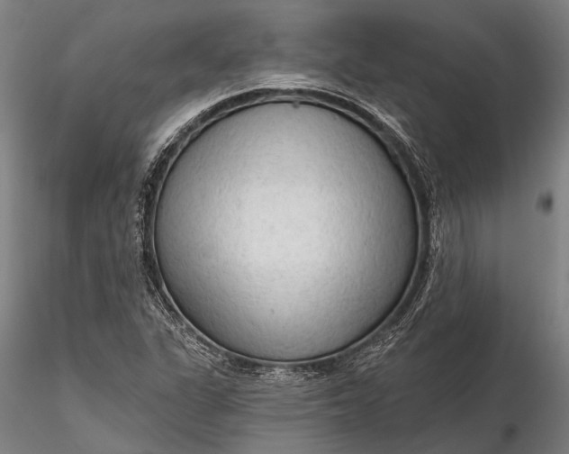 X0000116301311200912141326