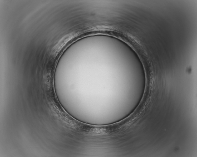 X0000116301313200912141326