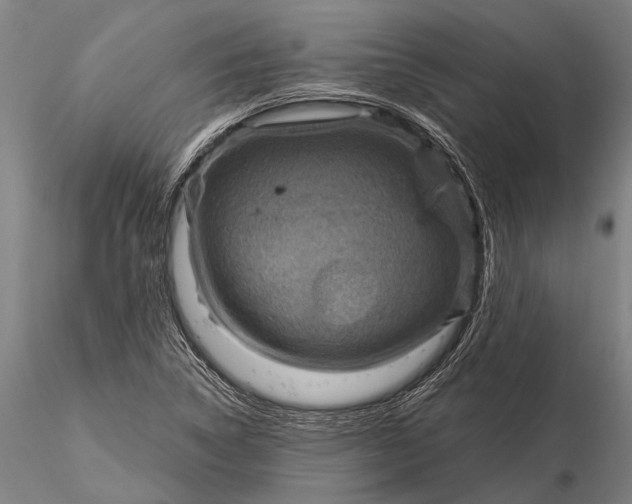 X0000116301314200912141326