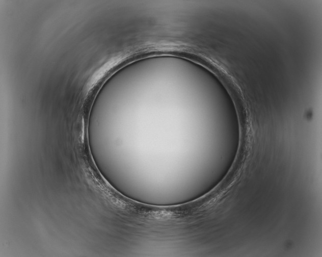 X0000116301317200912141326