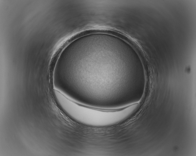 X0000116301319200912141326