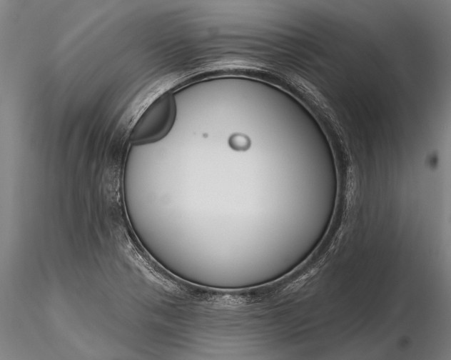 X0000116301321200912141326