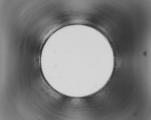 X0000116301322200912141326