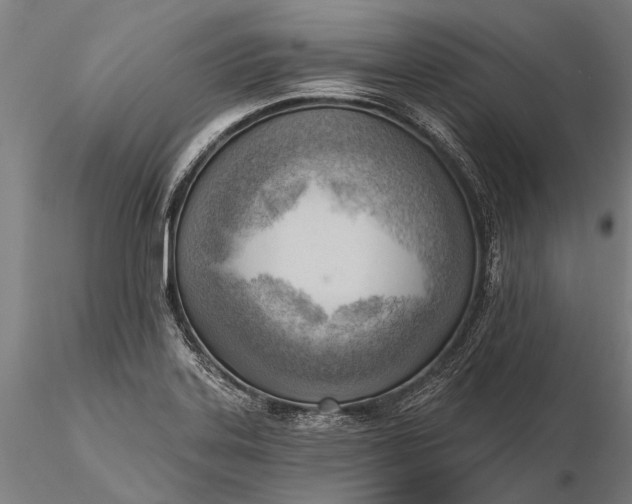 X0000116301323200912141326