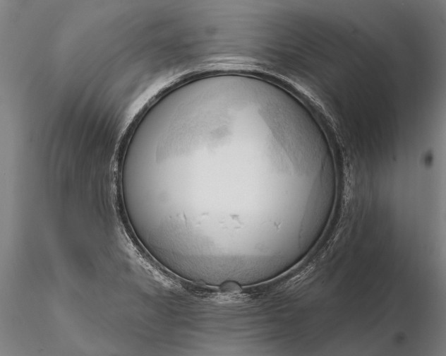 X0000116301325200912141326