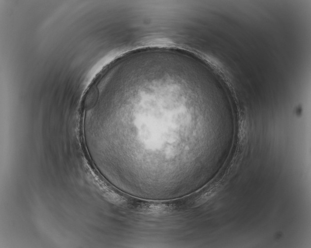 X0000116301326200912141326