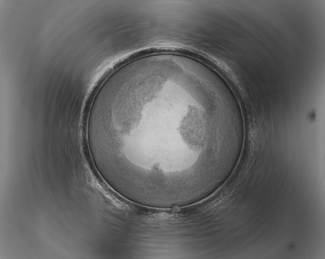 X0000116301327200912141326