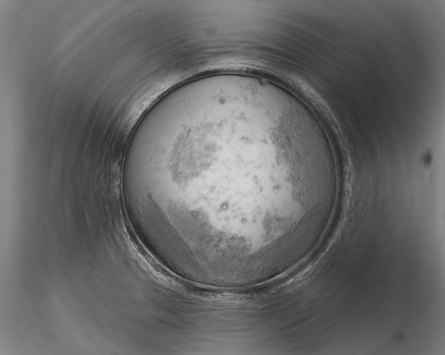 X0000116301329200912141326