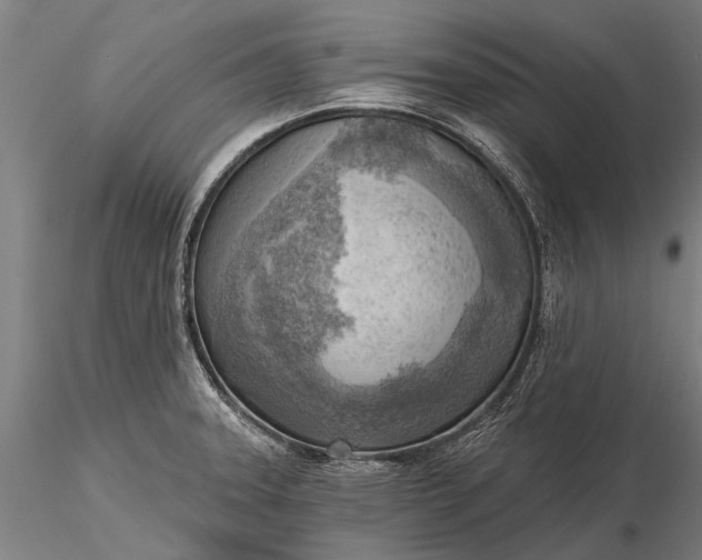 X0000116301331200912141326