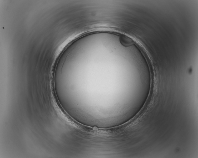 X0000116301333200912141326