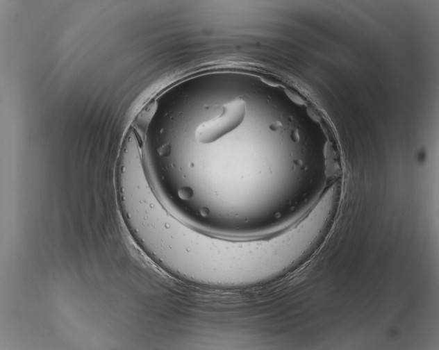 X0000116301338200912141326