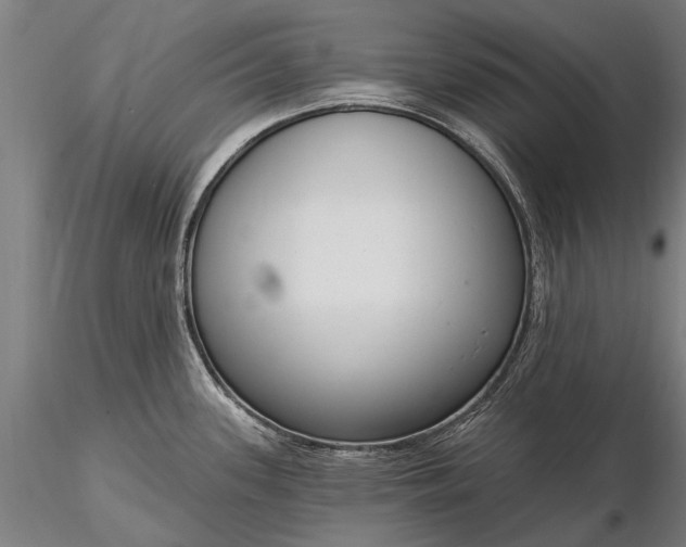 X0000116301339200912141326