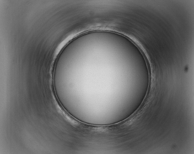 X0000116301341200912141326