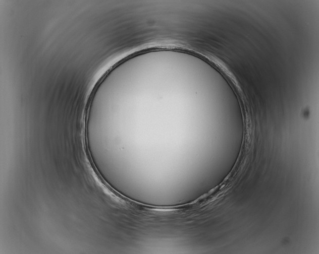 X0000116301343200912141326