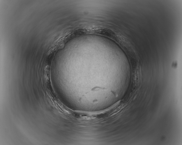 X0000116301346200912141326