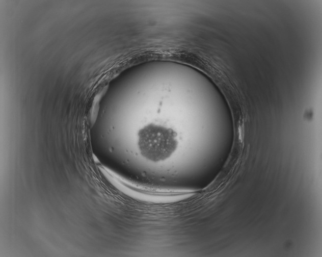 X0000116301347200912141326