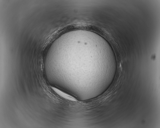 X0000116301348200912141326