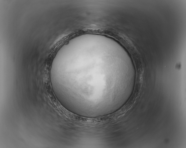 X0000116301350200912141326