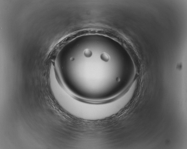 X0000116301352200912141326