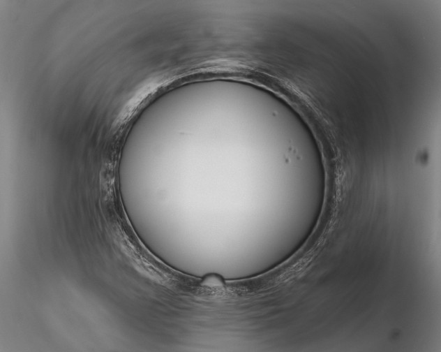 X0000116301355200912141326