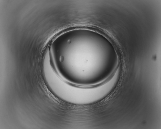 X0000116301356200912141326