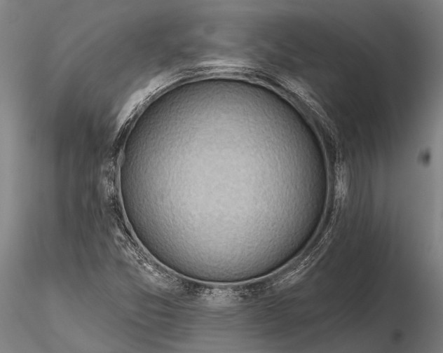 X0000116301357200912141326