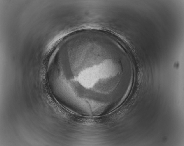 X0000116301359200912141325