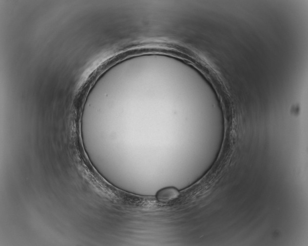 X0000116301360200912141325