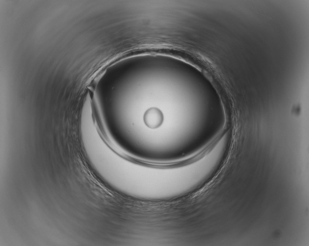 X0000116301361200912141325