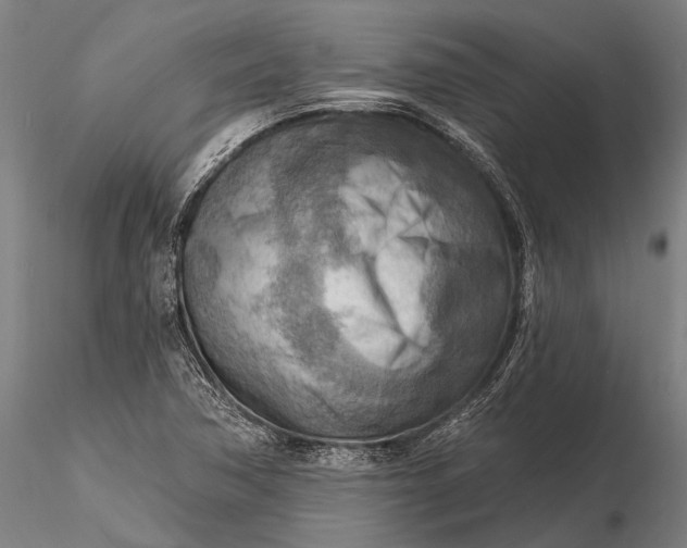 X0000116301362200912141325