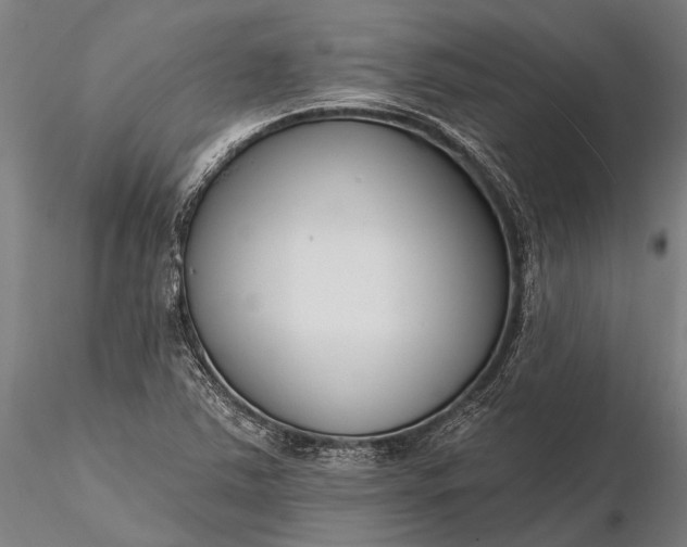 X0000116301363200912141325