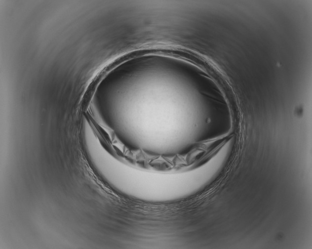 X0000116301364200912141325