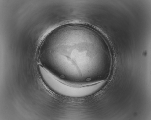 X0000116301367200912141325