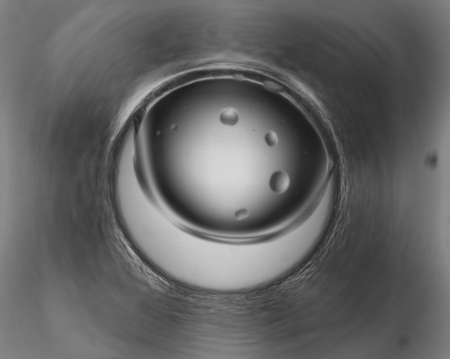 X0000116301368200912141325