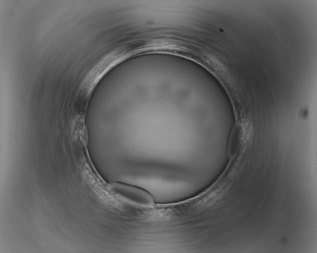 X0000116301369200912141325